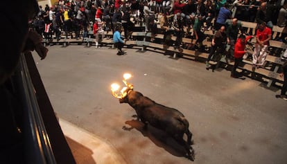 Toro embolao en Alcanar.