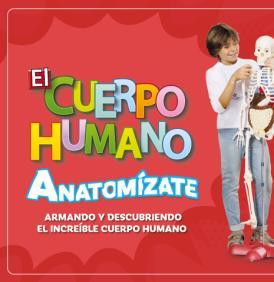 Cuerpo humano