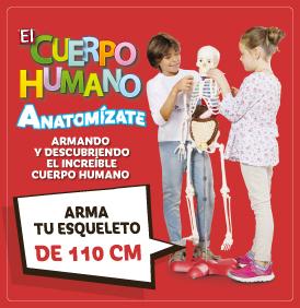 Descubre el cuerpo humano: una colección educativa y divertida