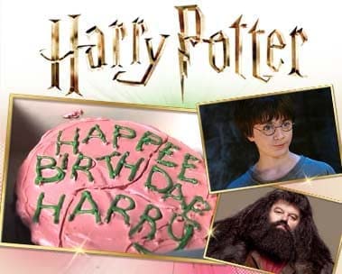 Feier Harry Potters Geburtstag