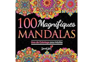 100 Magnifiques Mandalas: Livre de Coloriage pour Adultes, Super Loisir Antistress pour se détendre avec de beaux Mandalas à 