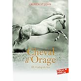 CHEVAL D'ORAGE T3