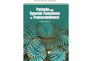 Periods And Special Functions In Transcendence