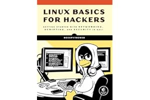 Linux Basics for Hackers: Getting Started with Networking, Scripting, and Security in Kali