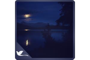 Romantic Night at Lake - Beautiful Blue Lake view