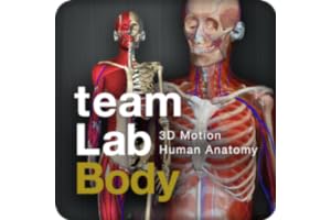 teamLabBody