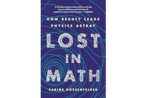 Lost in Math: How Beauty Leads Physics Astray (English Edition)