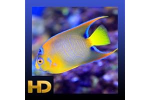 Peaceful Aquarium HD