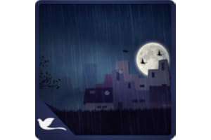 Animated Calm Rain - Rain Imaginary Edition