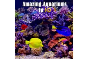 Amazing Aquariums In HD