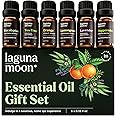 LagunaMoon - Paquete de 6 aceites esenciales con caja de regalo, menta, árbol de té, lavanda, eucalipto, citronela, naranja, 