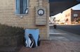 Iz 24UR ZVEČER: Reševanje pingvinastih smetnjakov