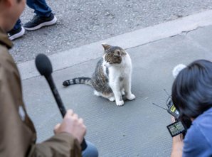 Mačku Larryju se je na Downing Streetu pridružil nov sostanovalec