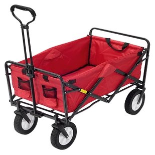 Transportni voziček za plažo (89 x 51,5 x 57,5 cm, nosilnost: 60 kg, zložljiv)