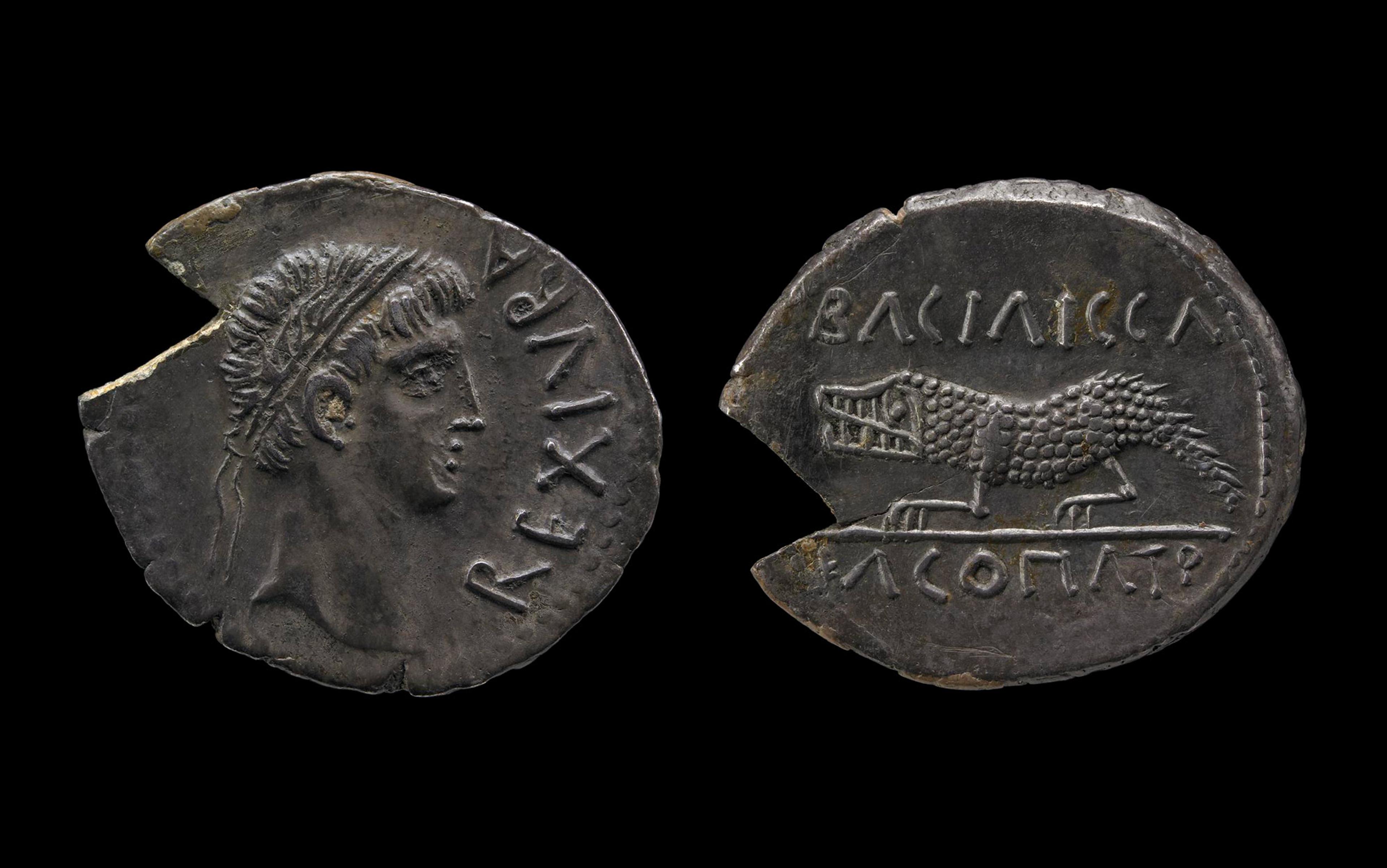 Ancient coin with profile of a male figure on the obverse and a crocodile with Greek inscription on the reverse, both sides showing signs of wear.