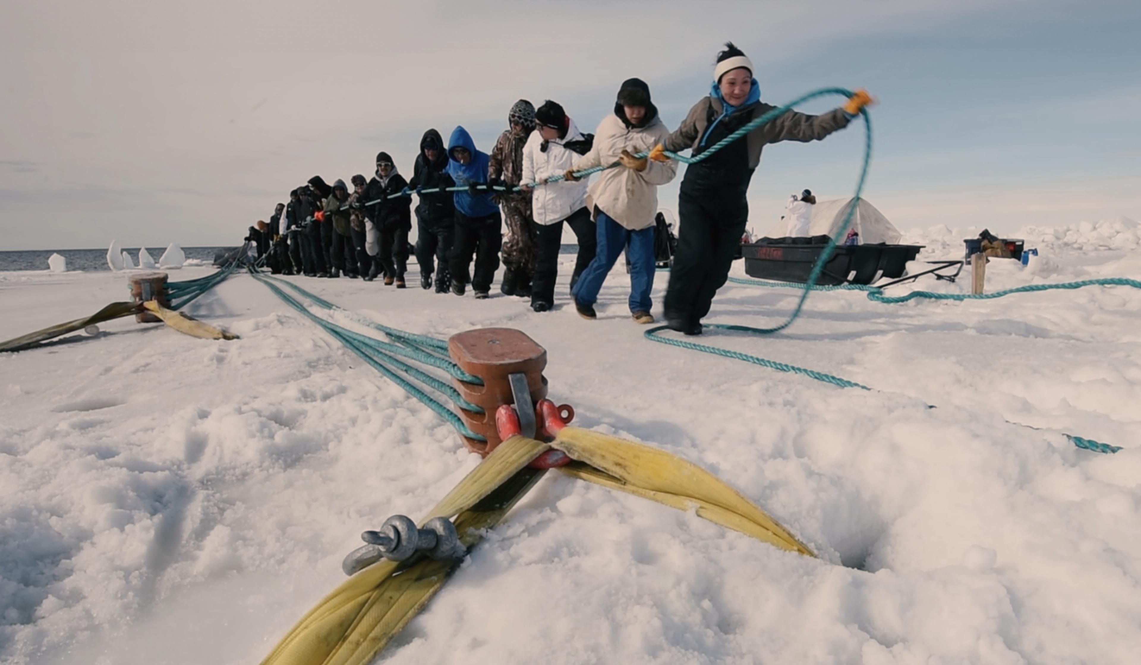 A line of people in winter clothing stand pulling on a thick rope anchored in the snowy landscape. The ocean and a cloudy sky are in the background.