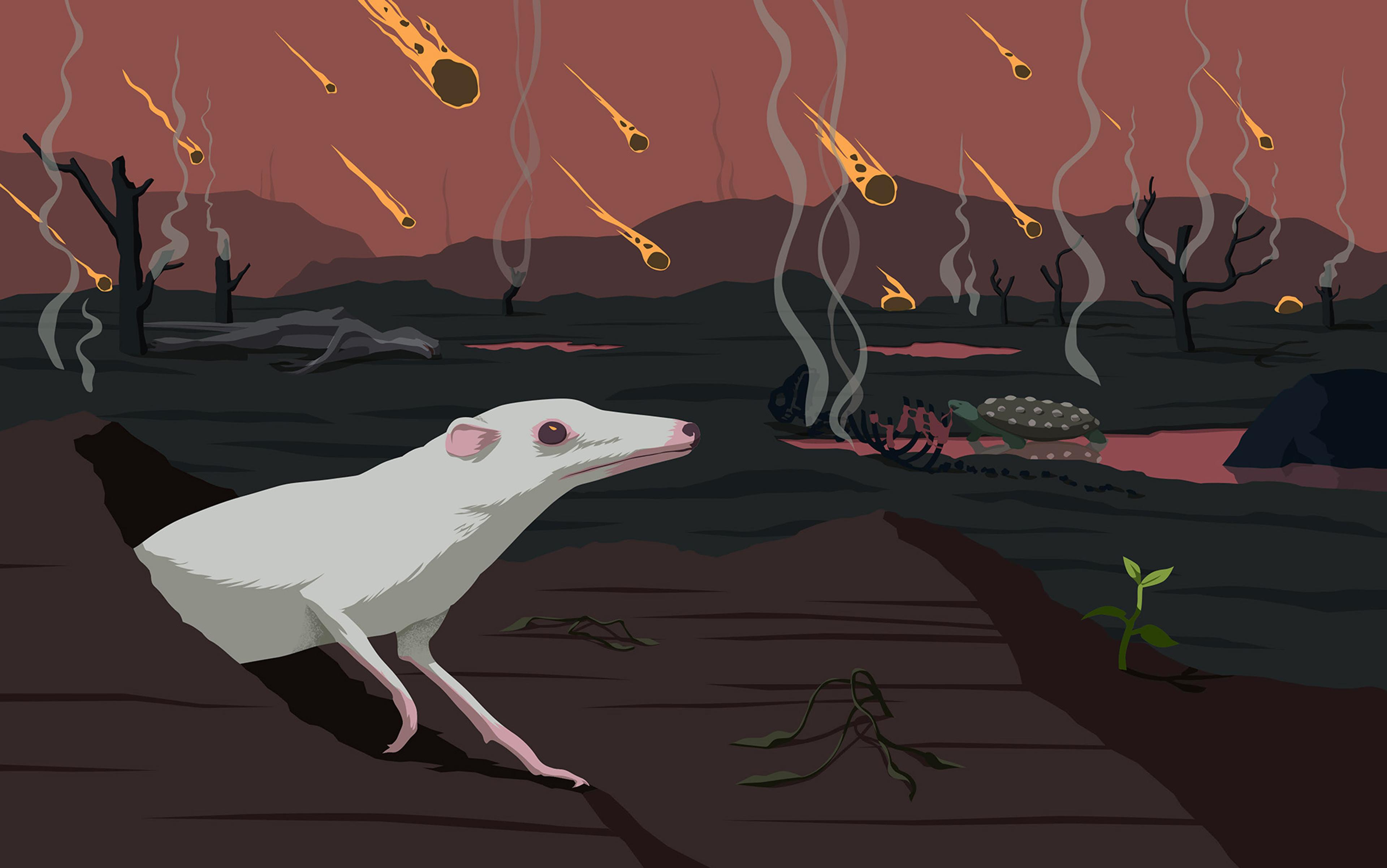 Digital illustration of a small white mammal emerging from a burrow in a post-apocalyptic landscape with falling meteors and smoke.