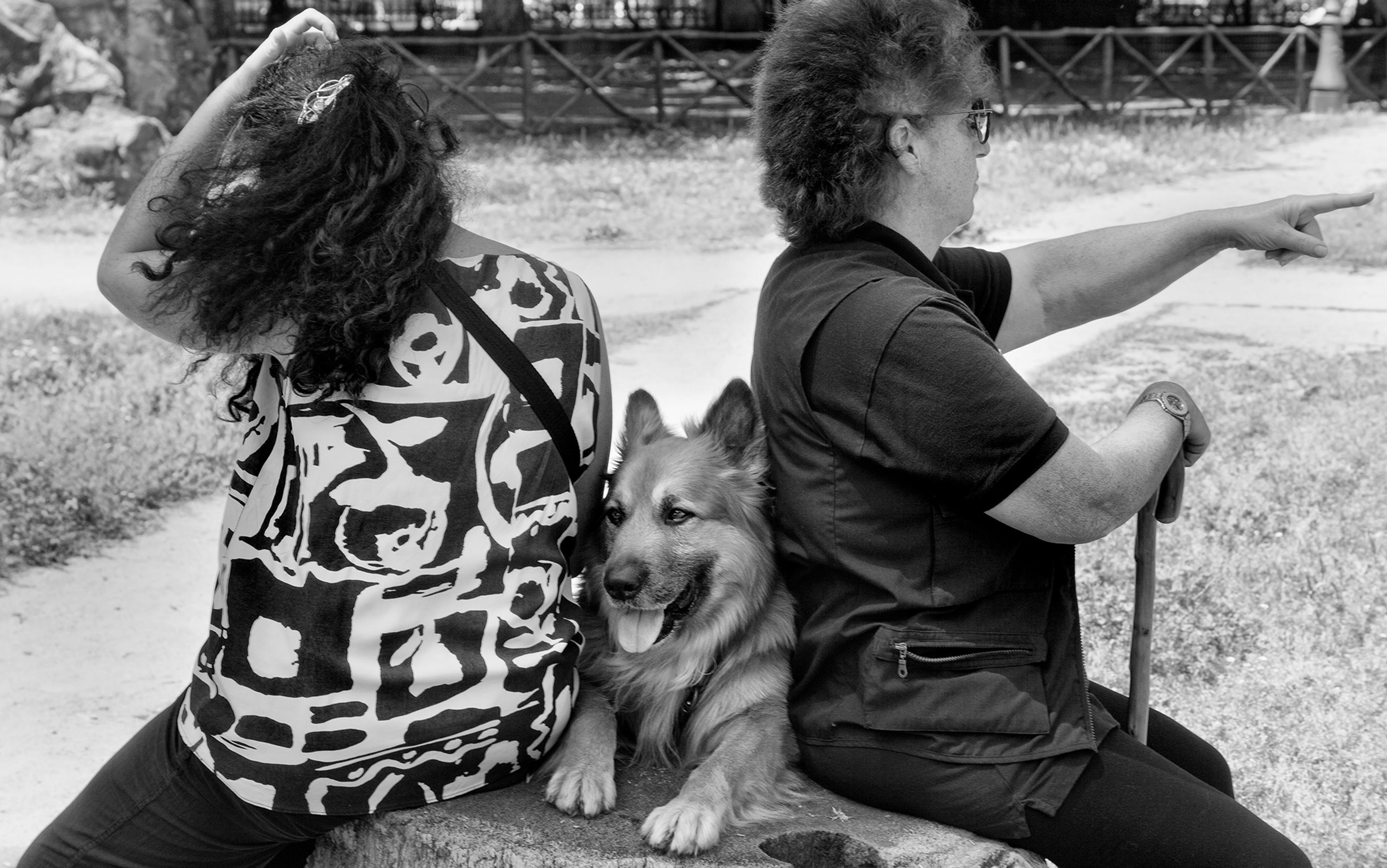 Black-and-white photo of two people sitting back to back with a dog between them, in an outdoor park setting with a fence in the background.