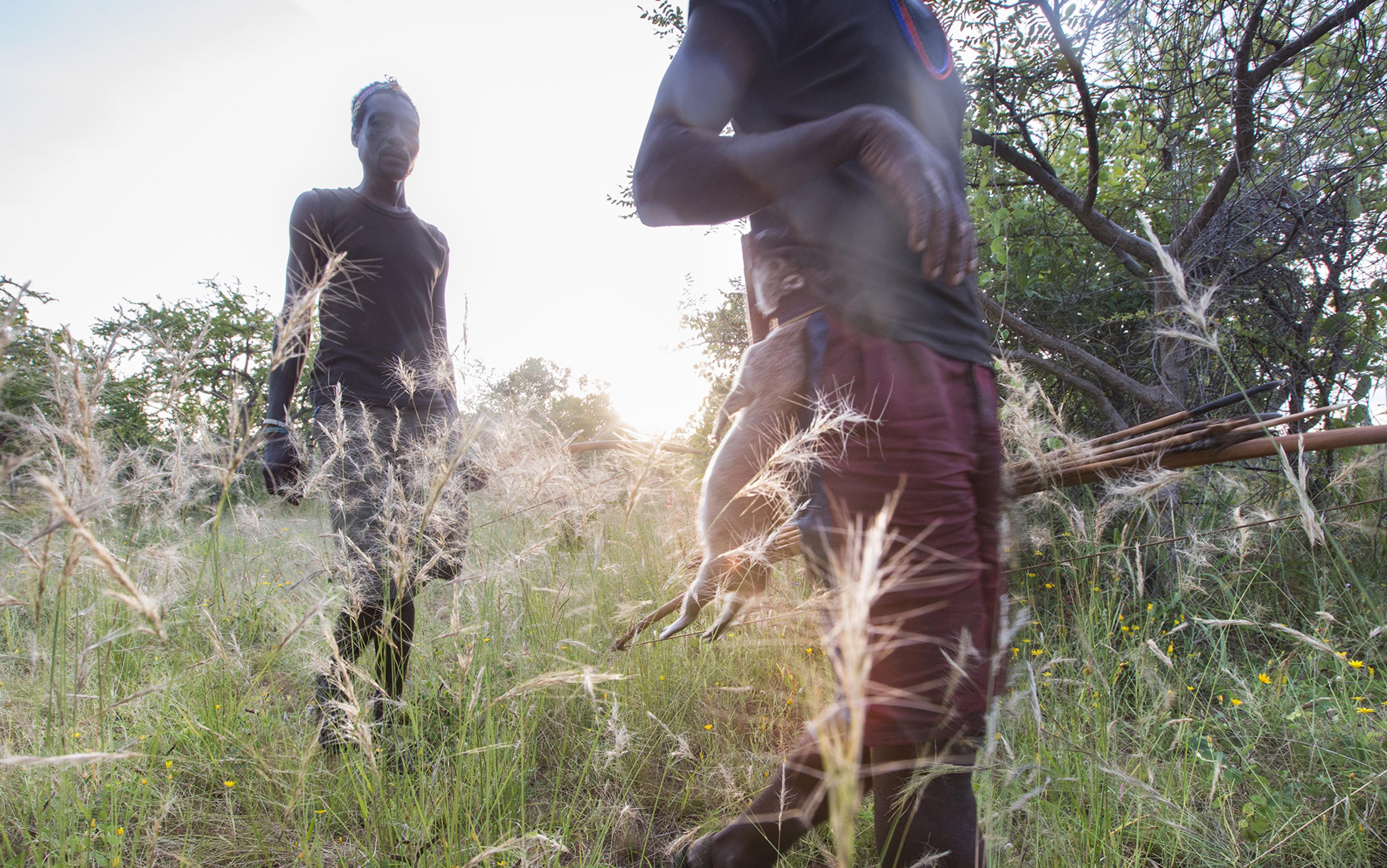 Two people in dark clothing walking through tall grass with trees in the background, one carrying a hunting bow and arrows in a sunny setting.