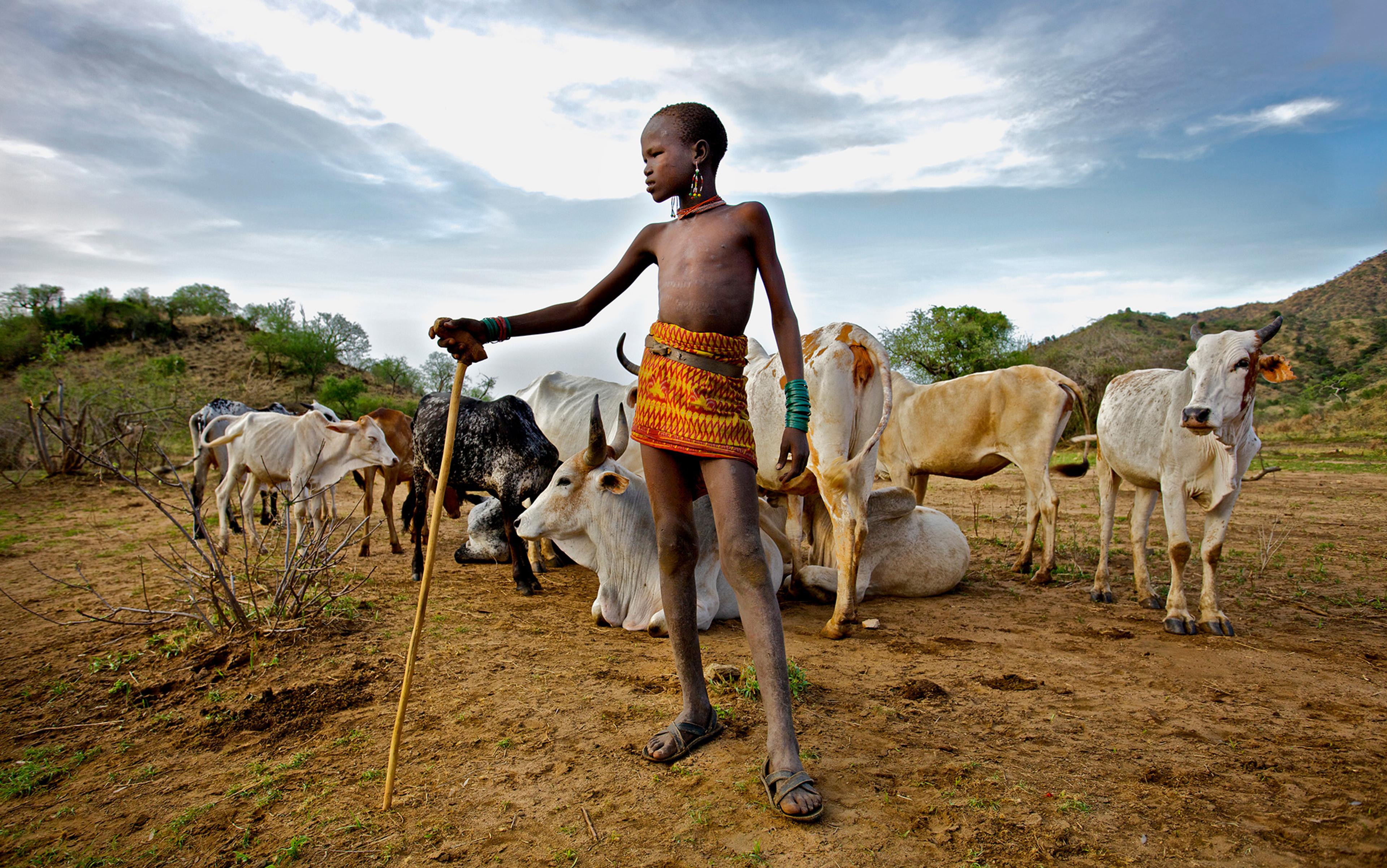 A young shepherd boy holding a stick, standing among cattle in a rural landscape with hills and a cloudy sky in the background.