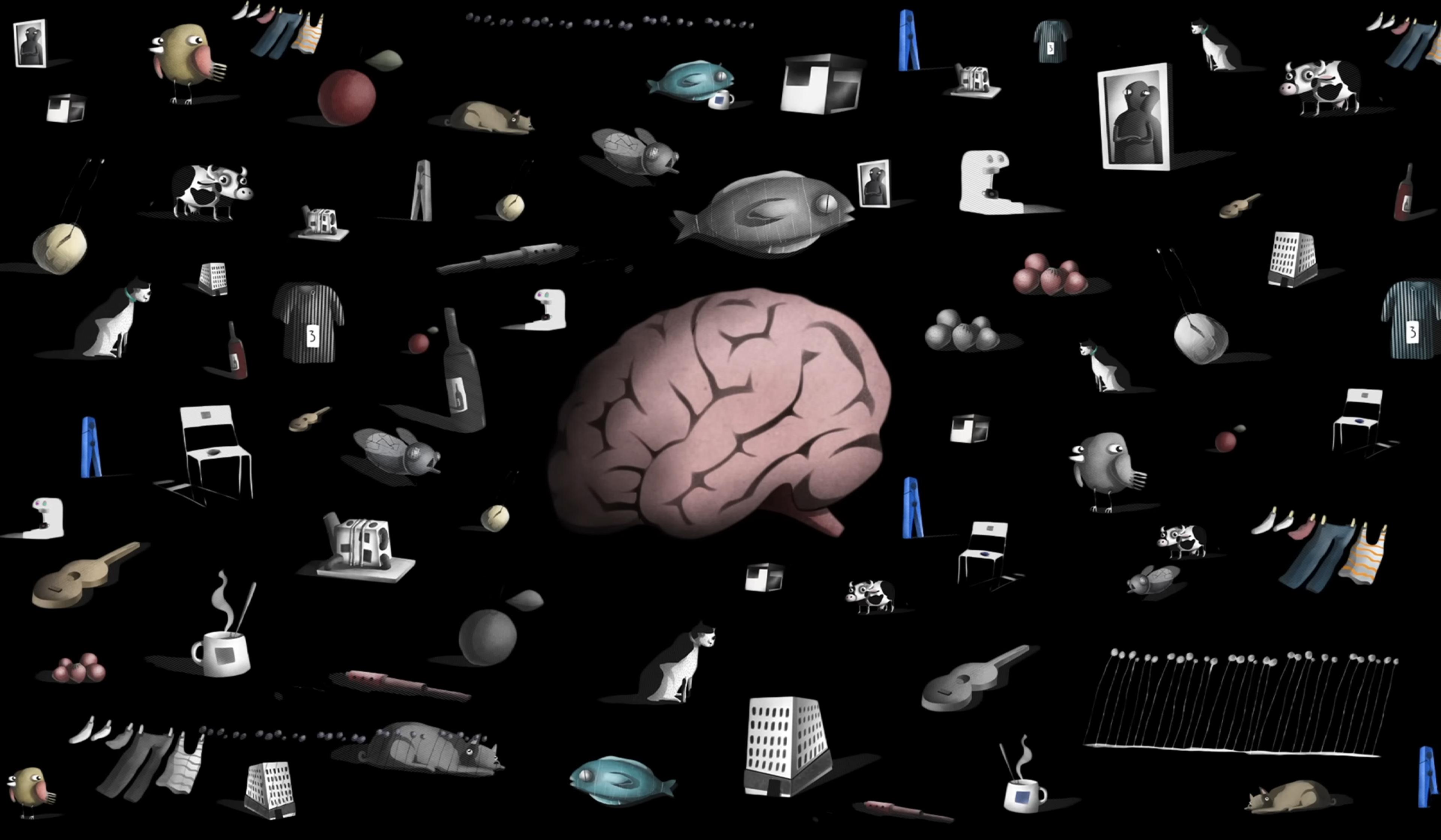 A collage of various objects, animals, and clothes surrounding a large brain illustration on a black background.