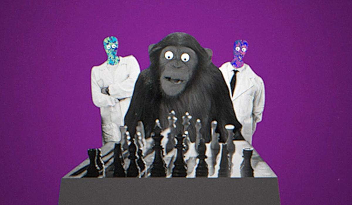 Graphic of a chimpanzee and two colourful, masked figures in lab coats standing behind a chessboard on a purple background.