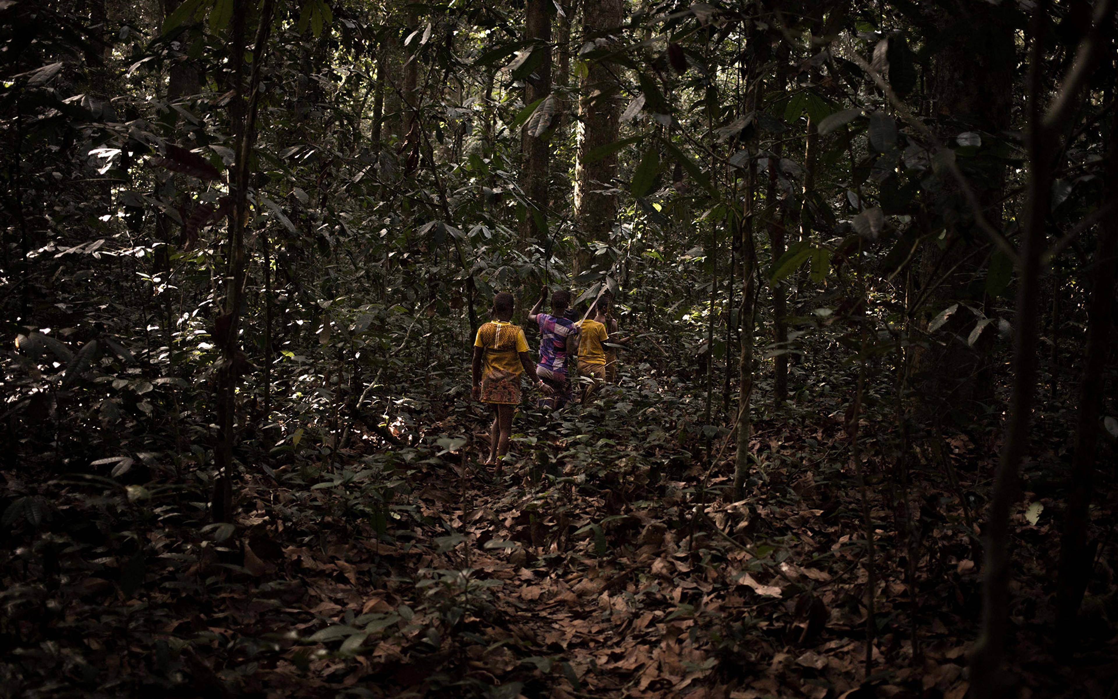 Three children in colourful clothing walk through a dense, leafy forest with sunlight filtering through the canopy.