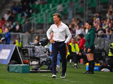 Hervé Renard lors de France-Angleterre à Saint-Etienne le 5 juin 2024