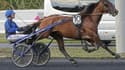 Idao de Tillard sera au départ de l'Elitloppet ce dimanche 26 mai à Solvalla (Suède). 