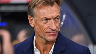 Hervé Renard lors de France-Norvège (0-0, Ligue des nations), le 31 octobre 2023