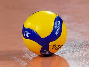 Illustration d'un ballon de volley (14 novembre 2023)