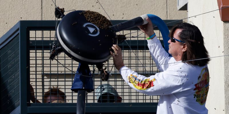 L'apiculteur Lance Davis à Indian Wells, le 14 mars 2024.