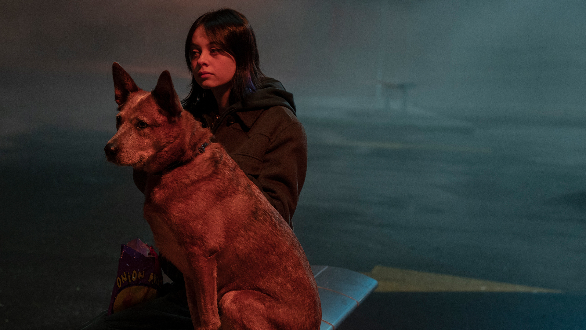 Orphan Black: Echoes Season 1 Episode 7 - The Dog's Honest Truth