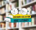 Introducing The Discovery Collection: The Library’s New Adult Literacy Initiative