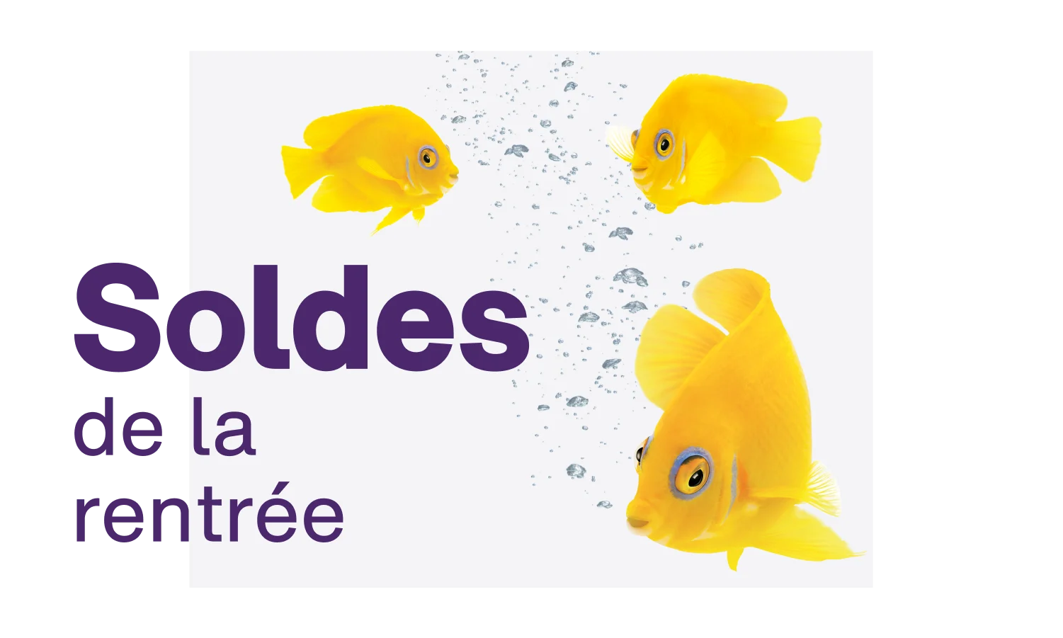 Trois poissons jaune vif nagent autour des mots « Solde de la rentrée scolaire ».