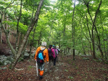 「森林セラピスト体験ツアー」の様子