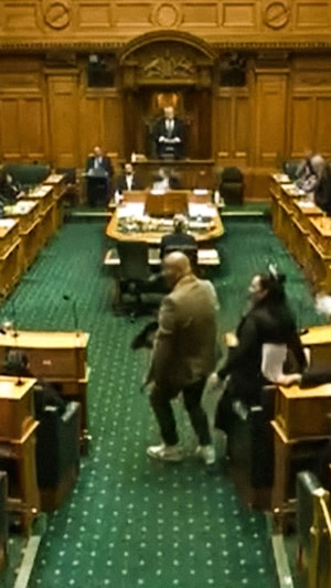 En pleine session du Parlement à Wellington, en Nouvelle-Zélande, des députés maoris se sont levés pour exécuter un haka pour montrer leur opposition à un projet de loi.