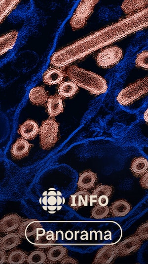 Le virus H5N1 sous microscope.
Le logo de l'émission radio Panorama et de Radio-Canada Info.