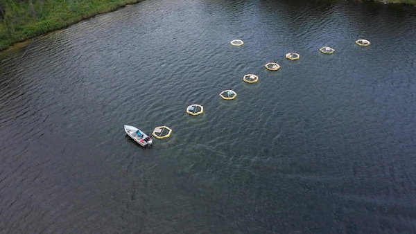 Bassins expérimentaux dans un lac.