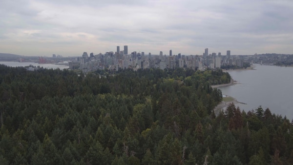 vue aérienne du parc Stanley