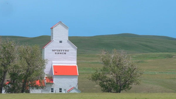 Le ranch McIntyre en Alberta