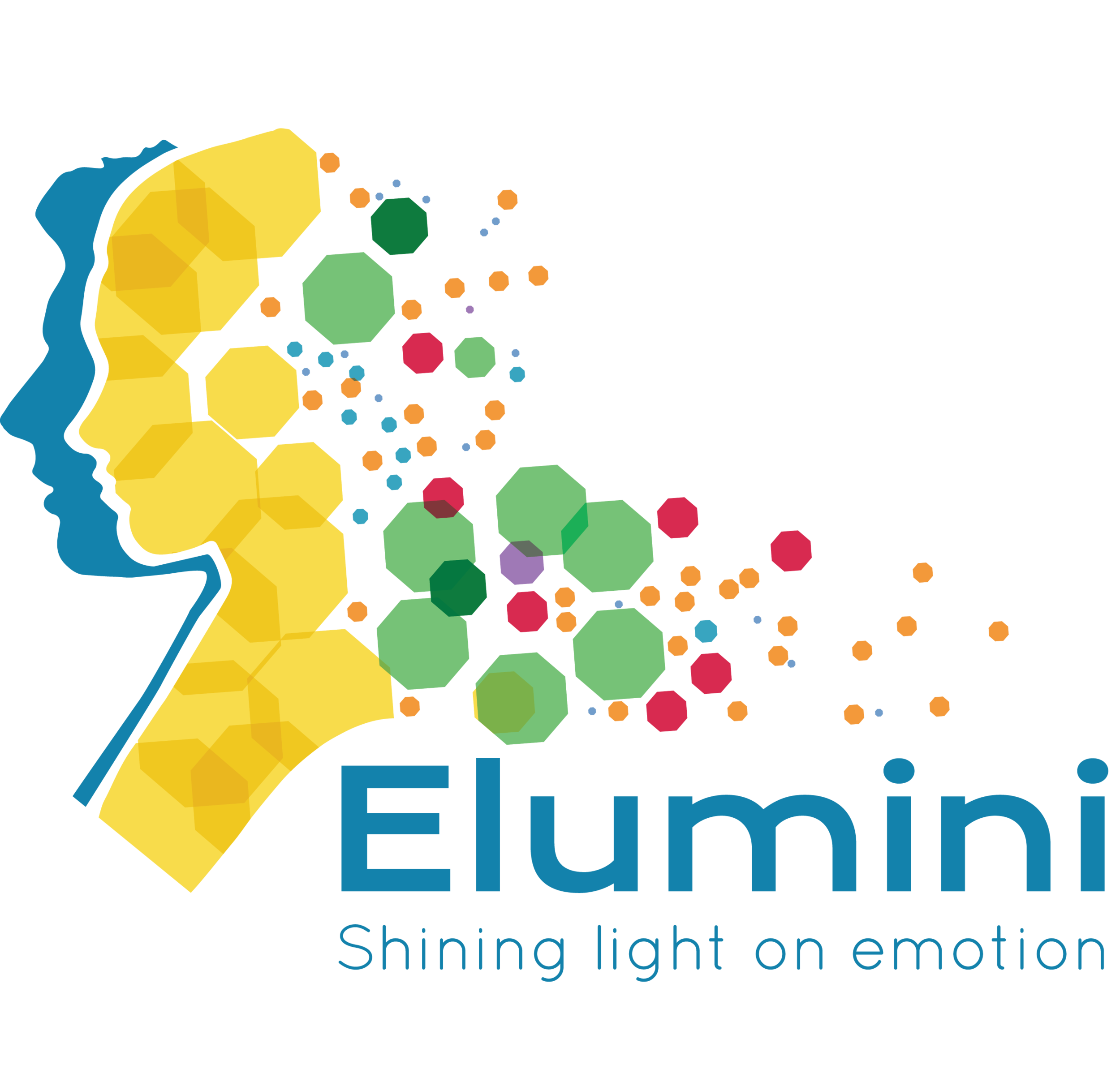 Elumini-25x20.png