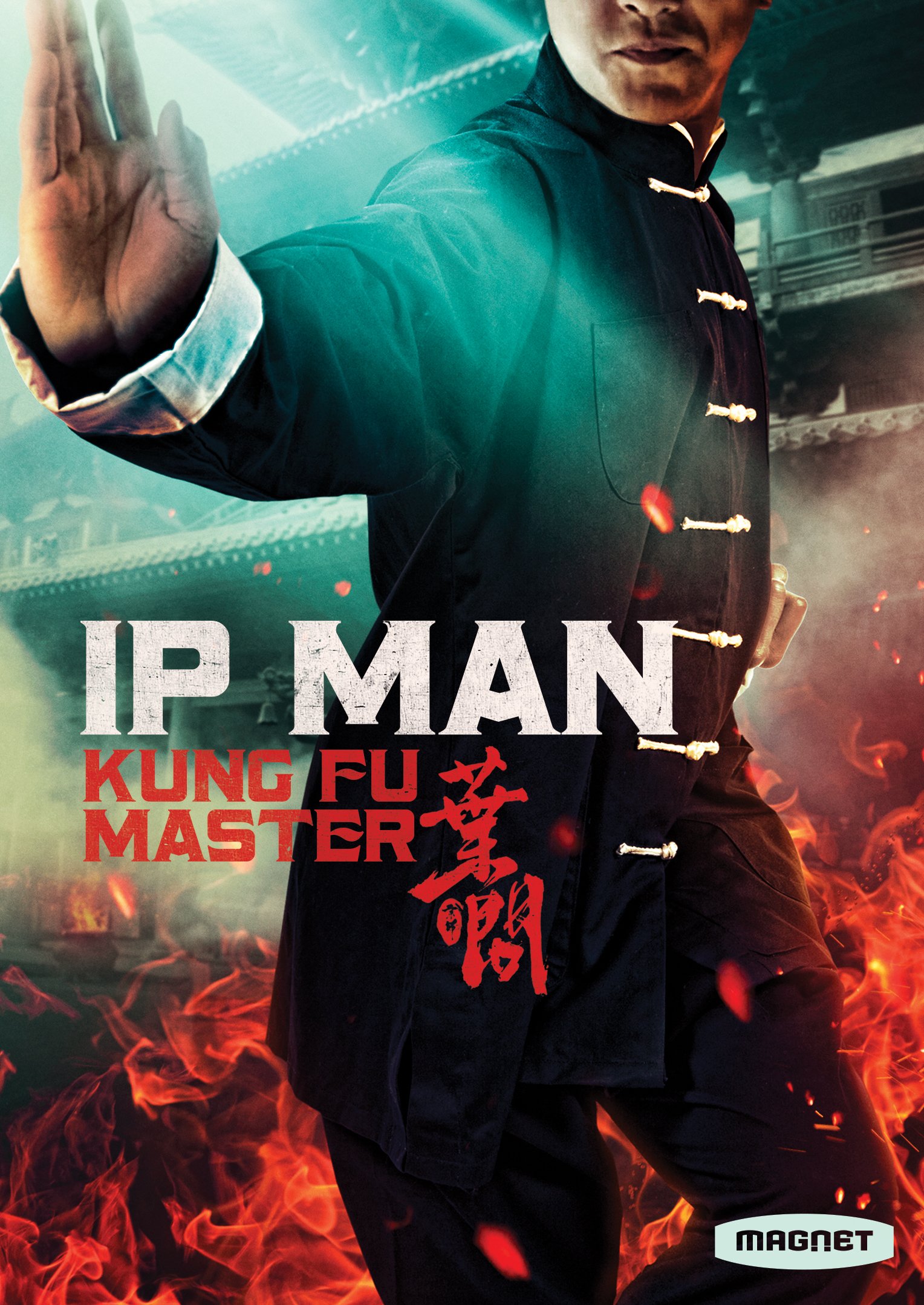 IP MAN Kung Fu Master_RGB DVD Front.jpg