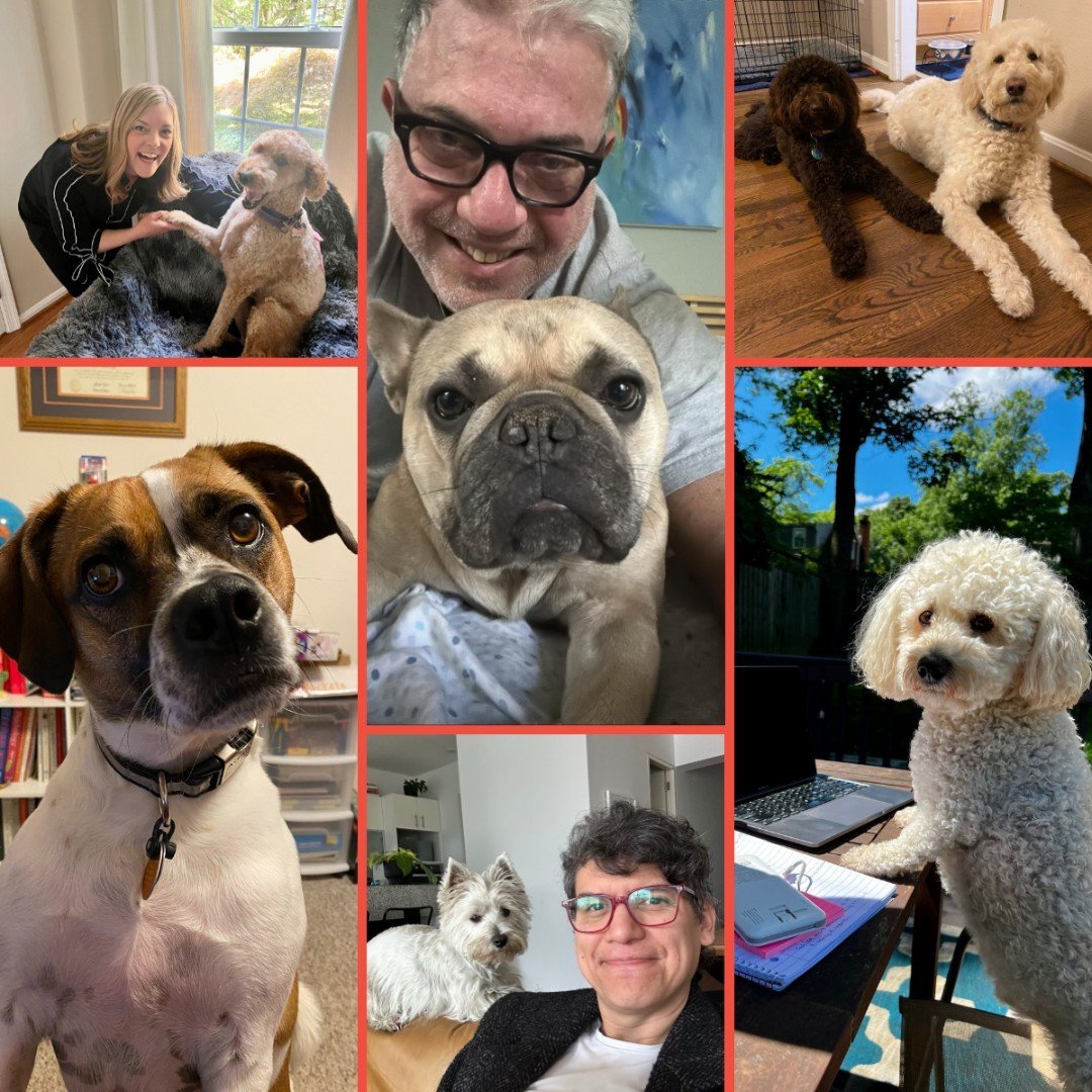 At Sage, we understand the joy and comfort our furry friends bring to our workday!

To celebrate #NationalTakeYourDogToWorkDay, we're highlighting the adorable pups that keep our Sagers company while they work from home.

Whether they're providing a 