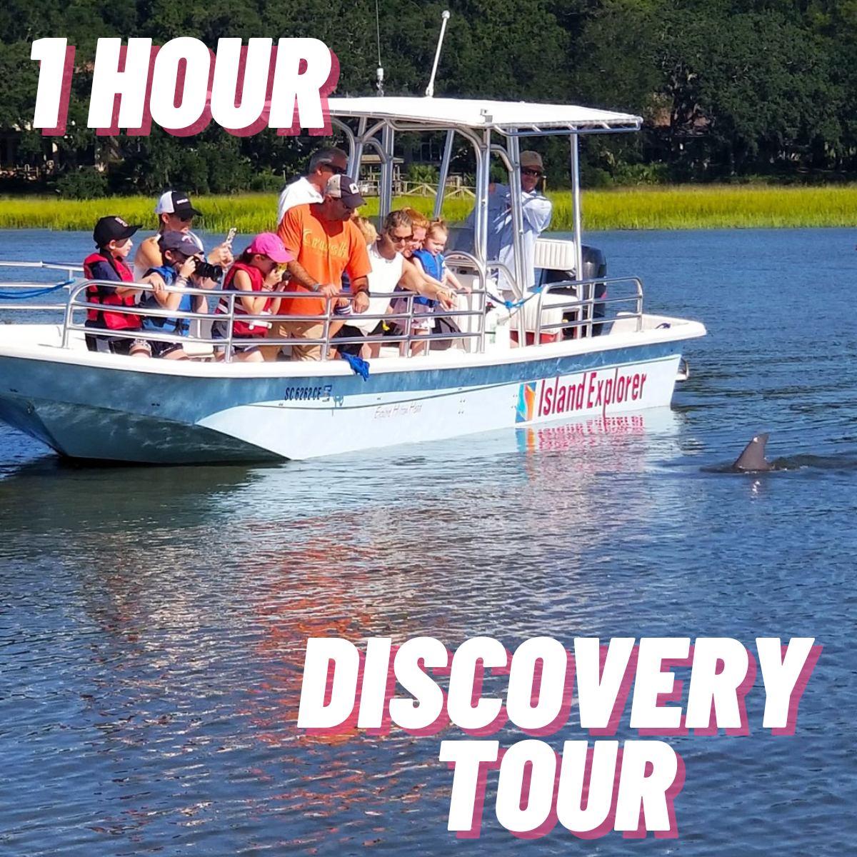 1 Hour Dolphin Tour