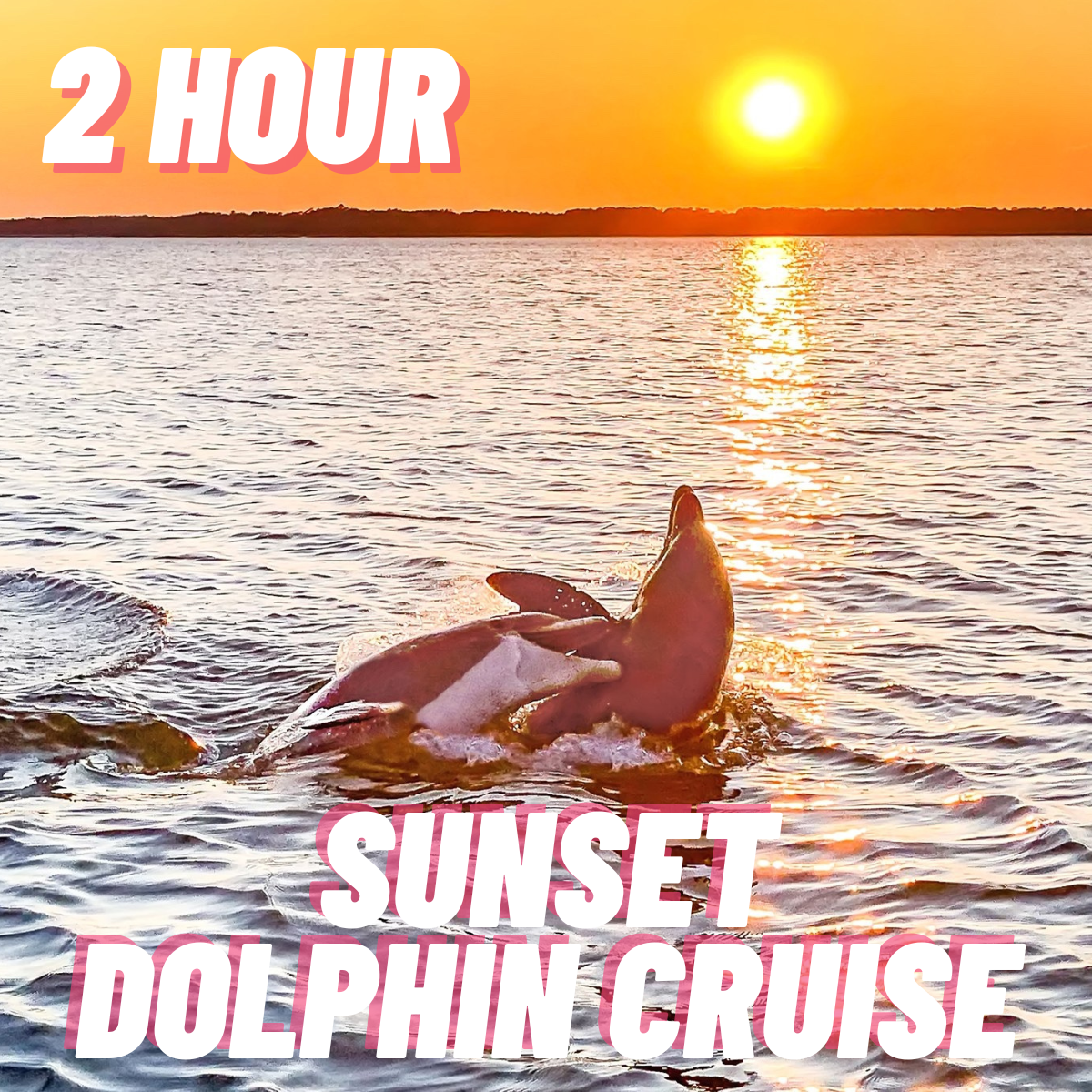 Sunset Dolphin Cruise 