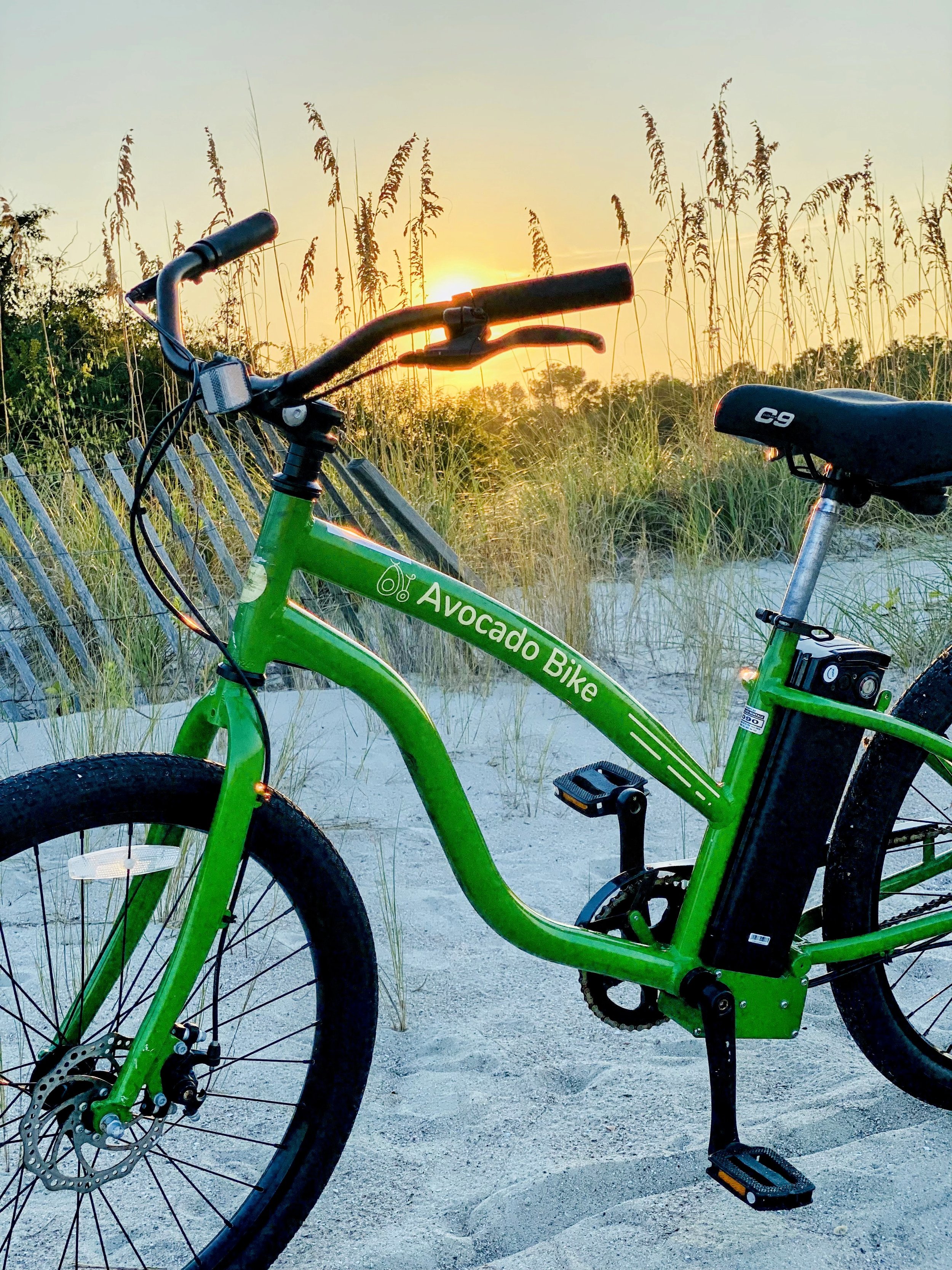 Pedal Assist E-Bike