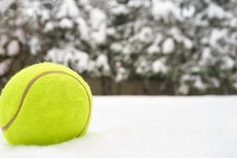 Tennisball im Schnee: Der Trick soll Tiere retten.