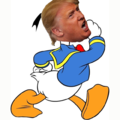 Kačer Donald Trump.png