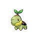 Turtwig